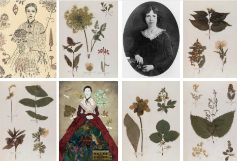 Emily Dickinson’ın Herbaryumu