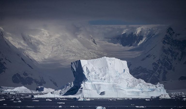 Türk akademisyenler Antarktika’da omurgasız hayvanlar üzerine çalışma yapacak